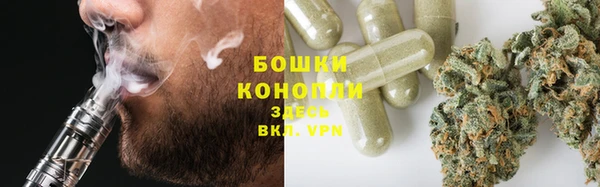 ПСИЛОЦИБИНОВЫЕ ГРИБЫ Бородино