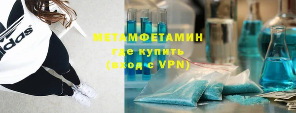 ПСИЛОЦИБИНОВЫЕ ГРИБЫ Бородино