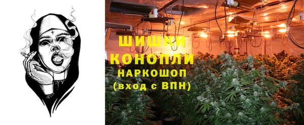 ПСИЛОЦИБИНОВЫЕ ГРИБЫ Бородино
