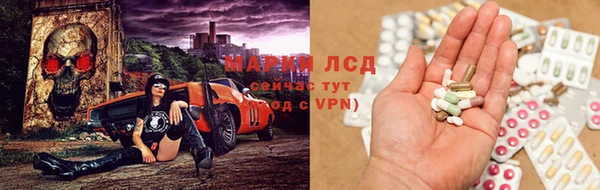ПСИЛОЦИБИНОВЫЕ ГРИБЫ Бородино